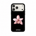 Blush Orchid